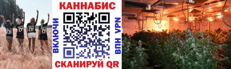 Купить наркотики цена Усинск Cocaine  МЕФ  Альфа ПВП  Галлюциногенные грибы  ГАШИШ  Канабис 