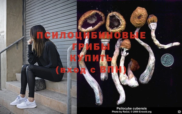 эйфоретик Белокуриха